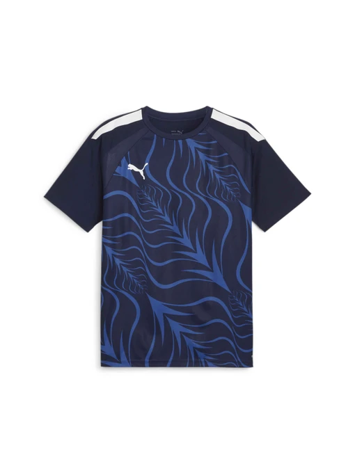 Футболки и поло PUMA Individualliga Graphicjersey модель 658984 Фото