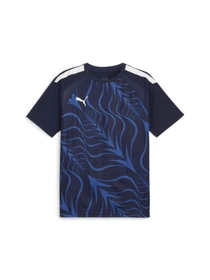 Футболки і поло PUMA Individualliga Graphicjersey модель 658984 Фото