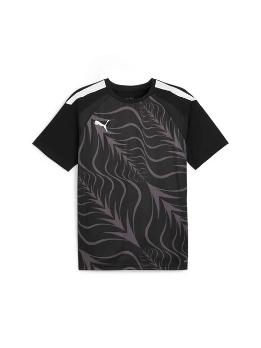 Футболки и поло PUMA Individualliga Graphicjersey модель 658984 Фото