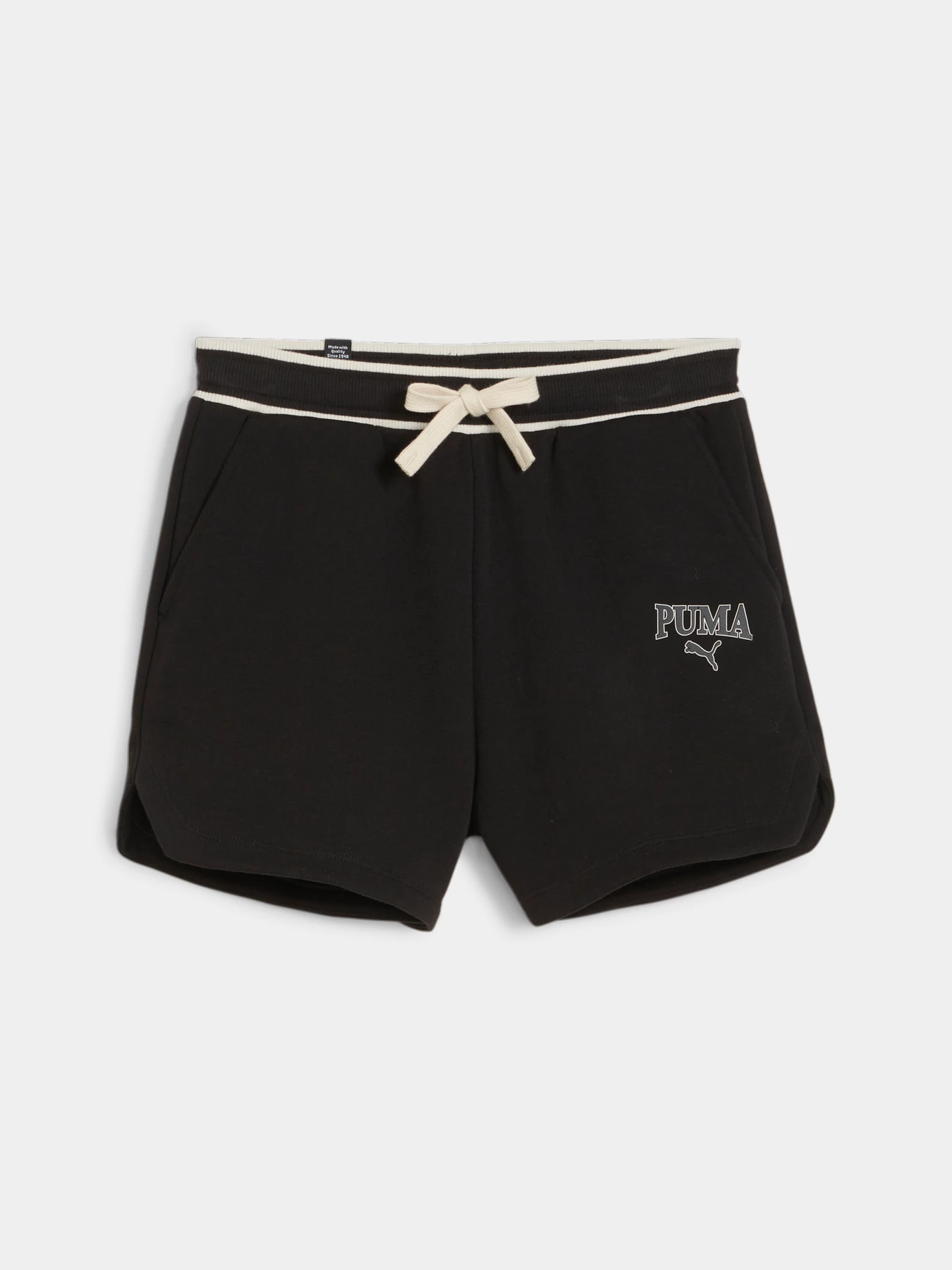 Шорты PUMA Squad Shorts модель 679400 Фото