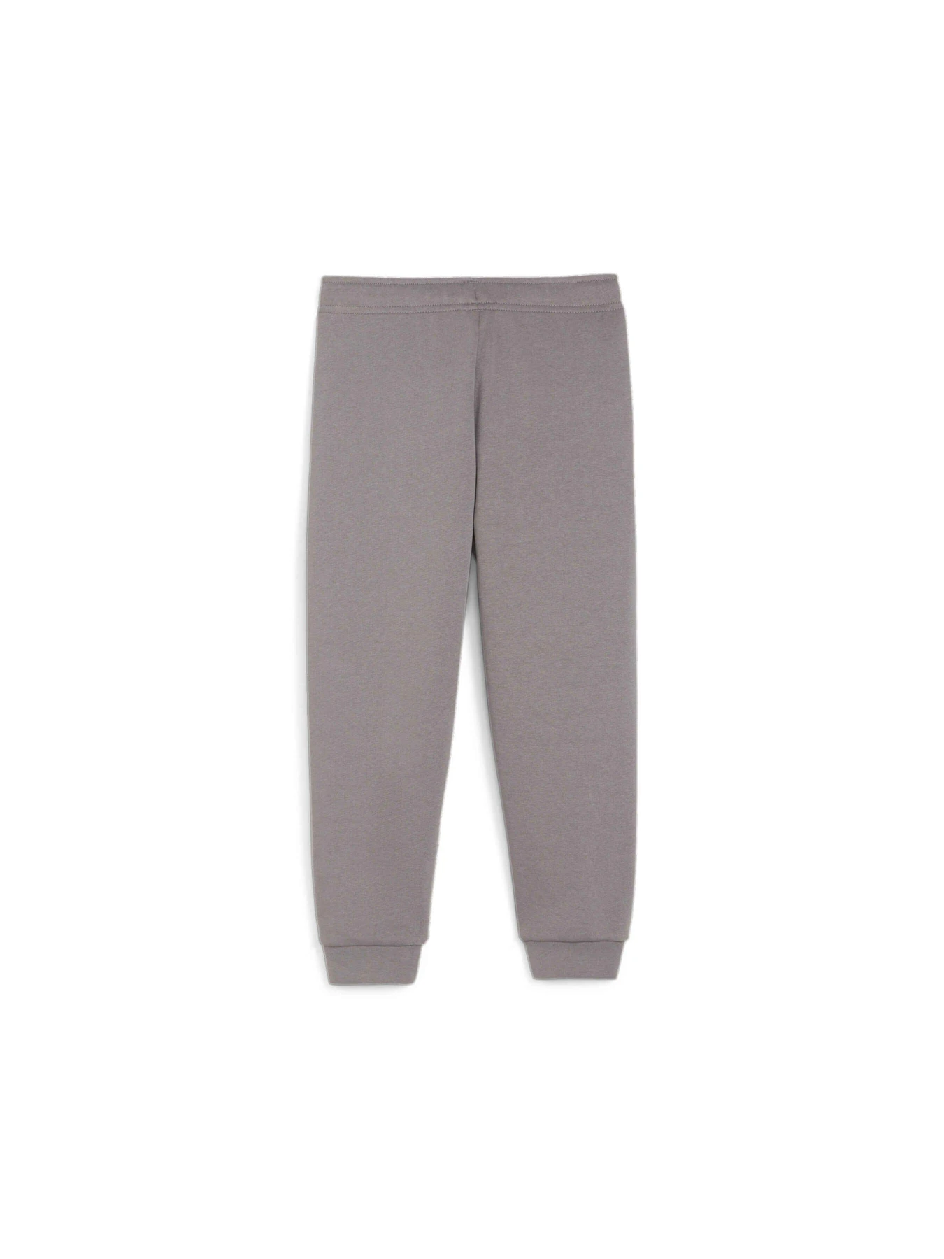Брюки PUMA Ess+ Summer Camp Sweatpants модель 679277 Фото