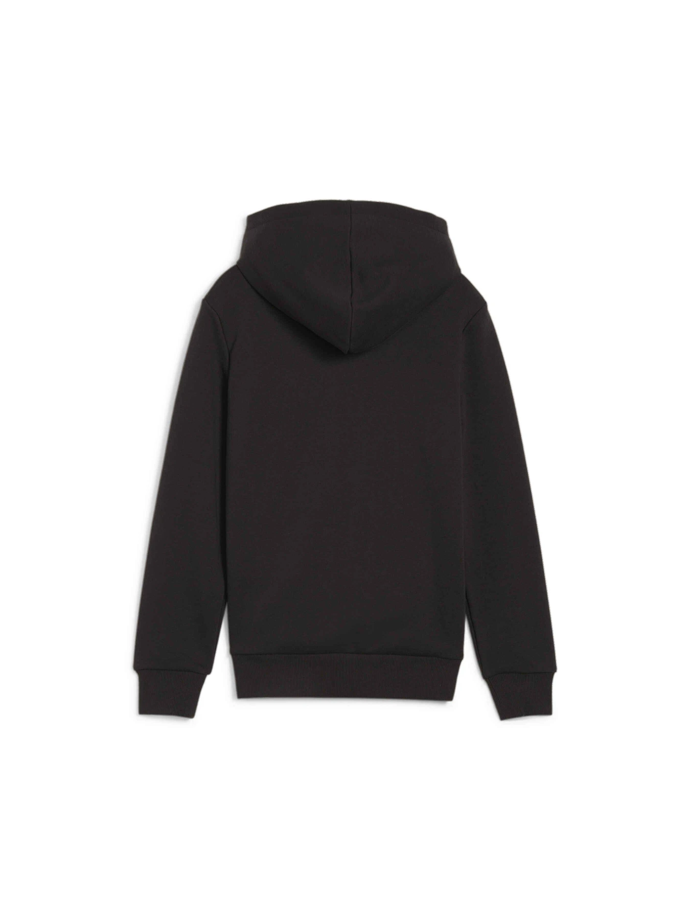 Худи и свитшоты PUMA Basketball Blueprint Hoodie модель 679980 Худи и свитшоты PUMA Basketball Blueprint Hoodie модель 679980 Фото