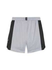 Шорты PUMA Bball Blueprint Mesh Shorts модель 679983 Фото
