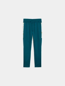 Брюки PUMA Njr Creativity Trg Pants Jr модель 658957 Фото
