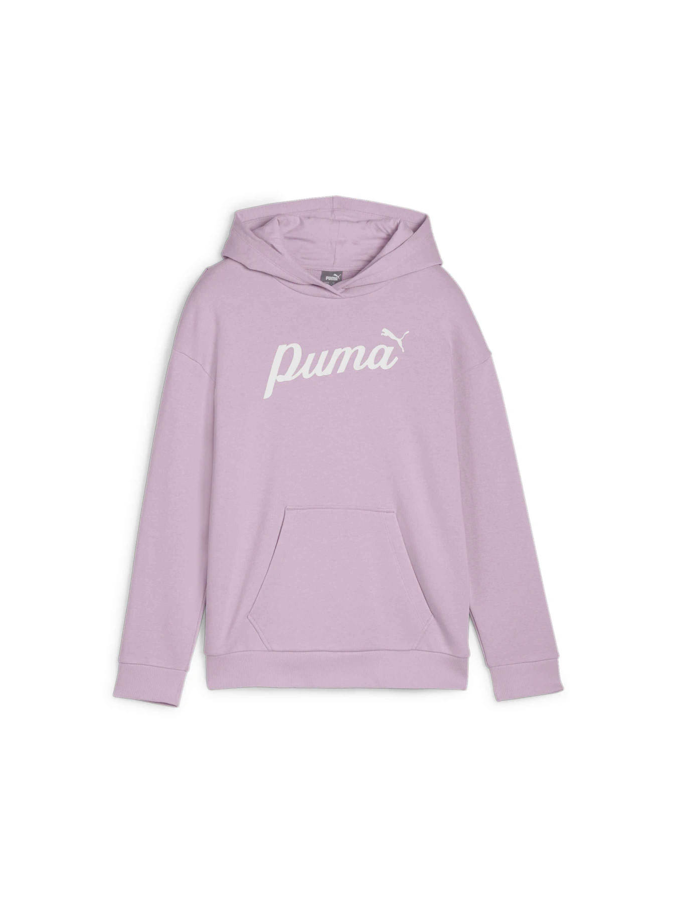 Худи и свитшоты PUMA Ess+ Script Hoodie Tr модель 679403 Худи и свитшоты PUMA Ess+ Script Hoodie Tr модель 679403 Фото