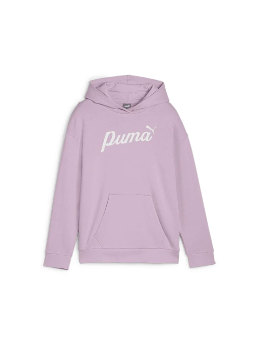 Худи и свитшоты PUMA Ess+ Script Hoodie Tr модель 679403 Фото