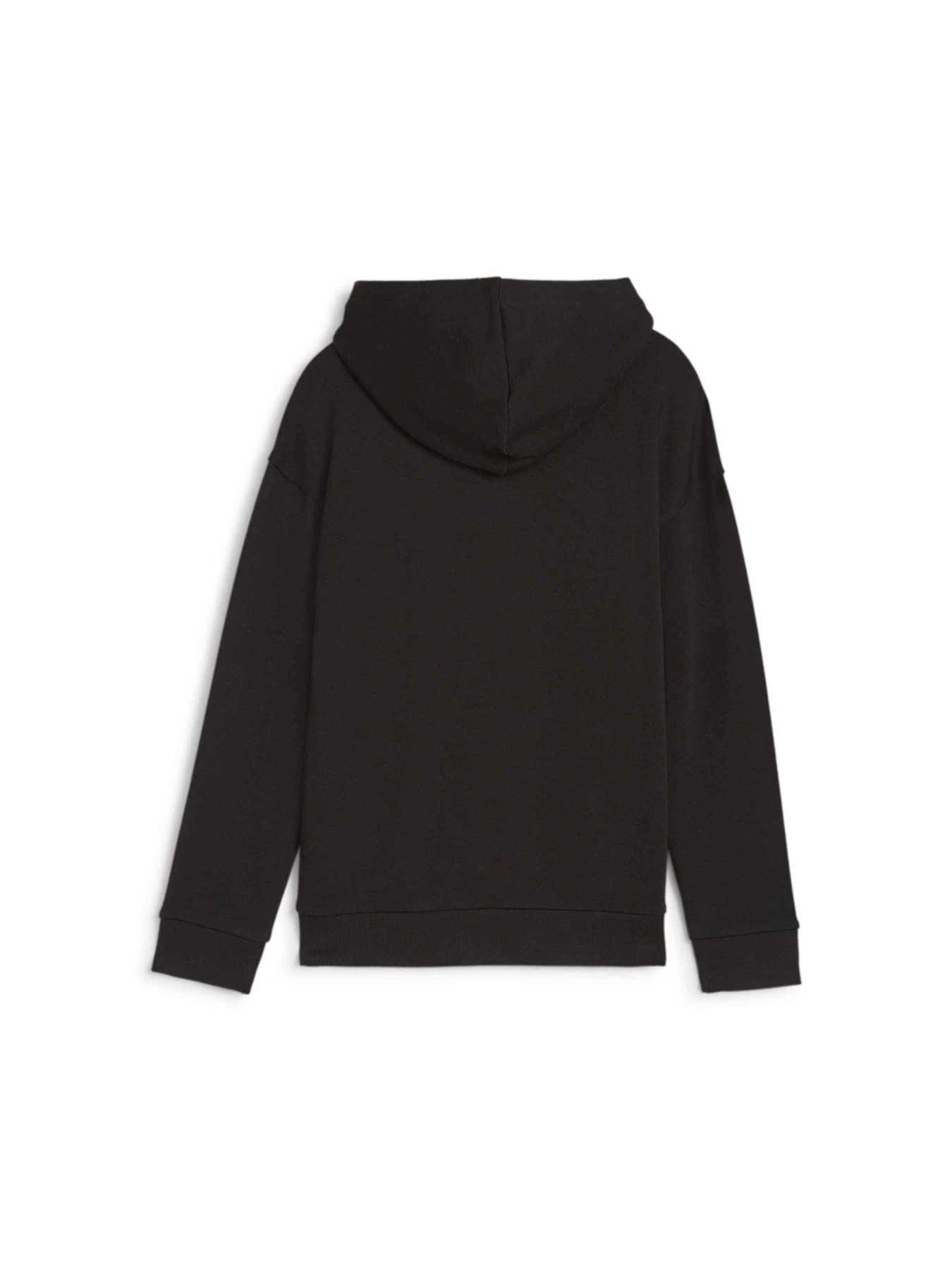 Худи и свитшоты PUMA Ess+ Script Hoodie Tr модель 679403 Худи и свитшоты PUMA Ess+ Script Hoodie Tr модель 679403 Фото