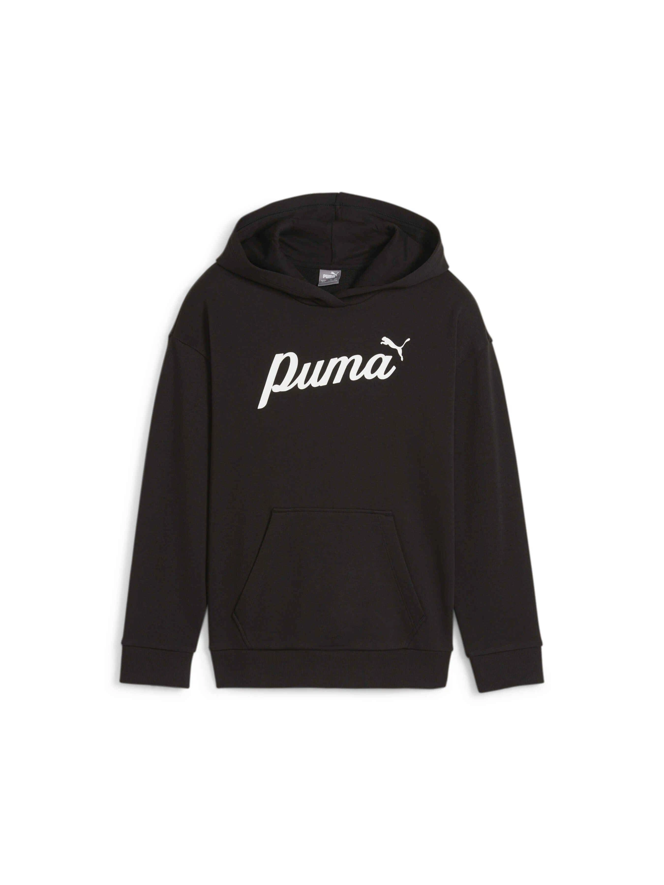 Худи и свитшоты PUMA Ess+ Script Hoodie Tr модель 679403 Худи и свитшоты PUMA Ess+ Script Hoodie Tr модель 679403 Фото