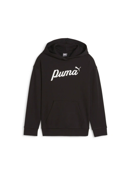 Худи и свитшоты PUMA Ess+ Script Hoodie Tr модель 679403 Фото