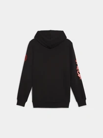 Худи и свитшоты PUMA Acm Ftblicons Hoody модель 774030 Фото