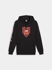Худи и свитшоты PUMA Acm Ftblicons Hoody модель 774030 Фото