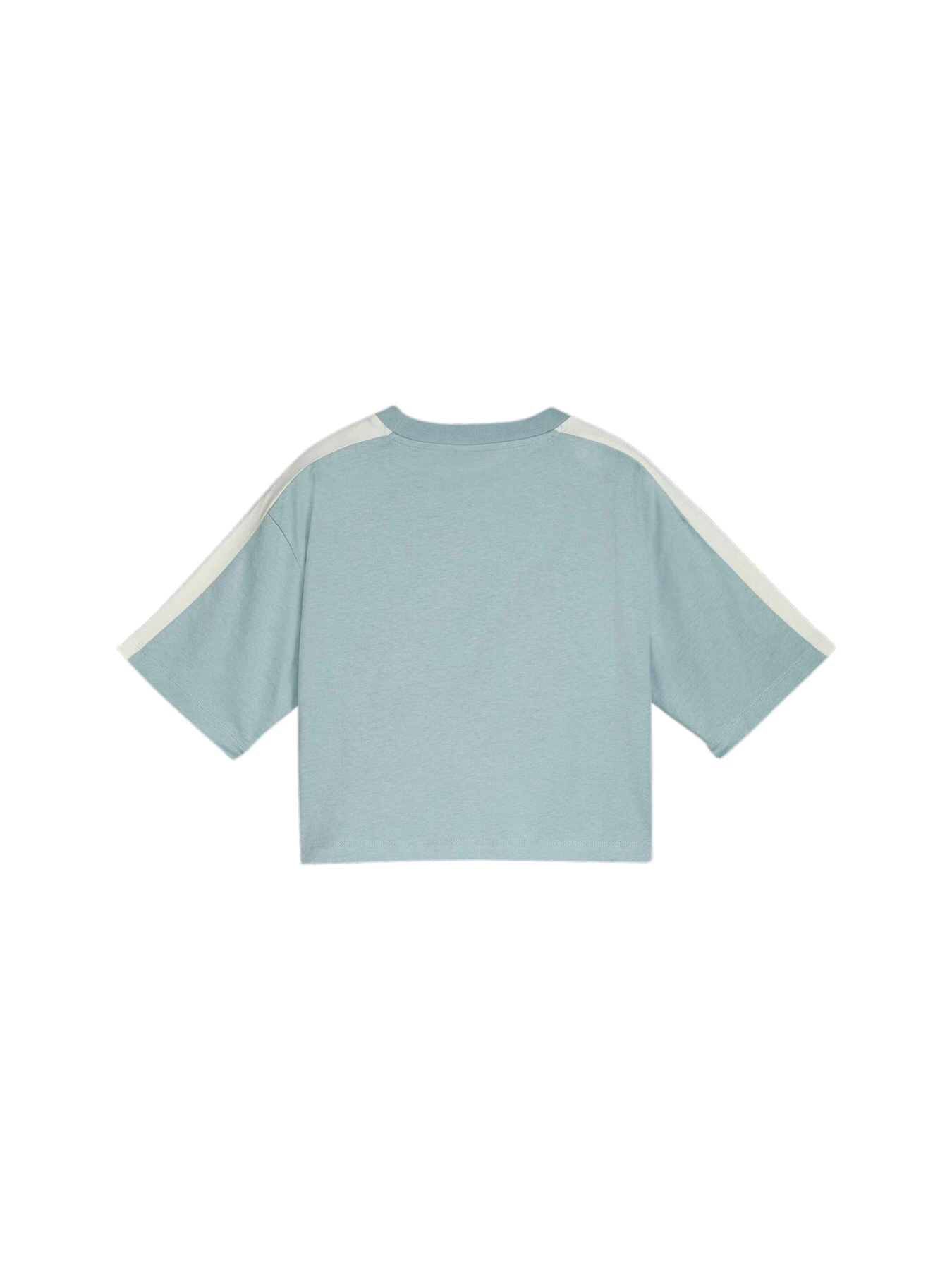 Футболки и поло PUMA T7 Snflr Graphic Tee модель 625061 Фото