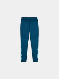 Брюки PUMA Indfinal Training Pants Jr модель 659024 Фото