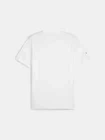 Футболки и поло PUMA Bmw Mms (logo) Graphic Tee модель 624160 Фото