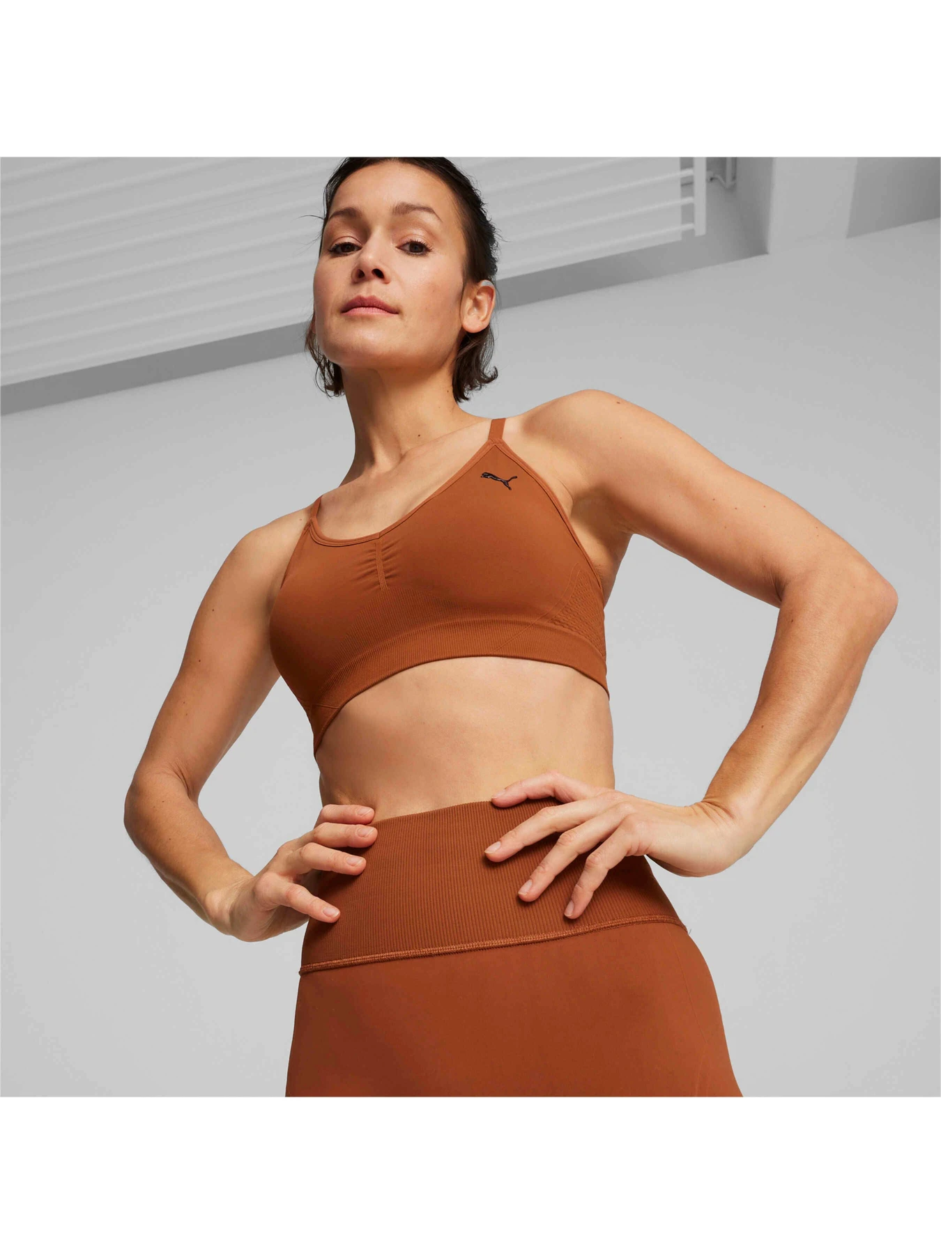 Футболки и поло PUMA Move Shapeluxe Seamless Bra модель 524362 Фото