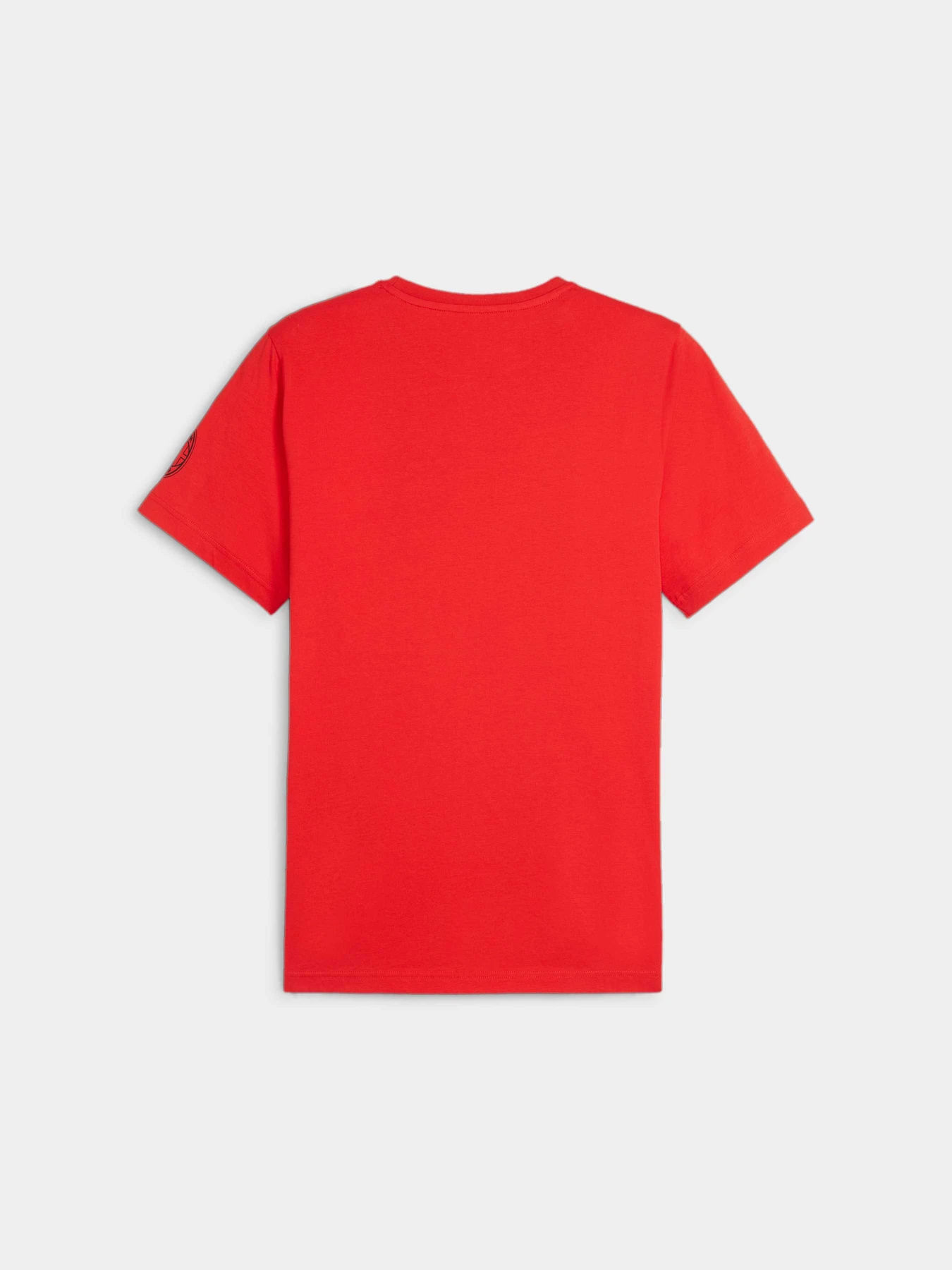 Футболки і поло PUMA Acm Ftblicons Tee модель 774029 Футболки і поло PUMA Acm Ftblicons Tee модель 774029 Фото