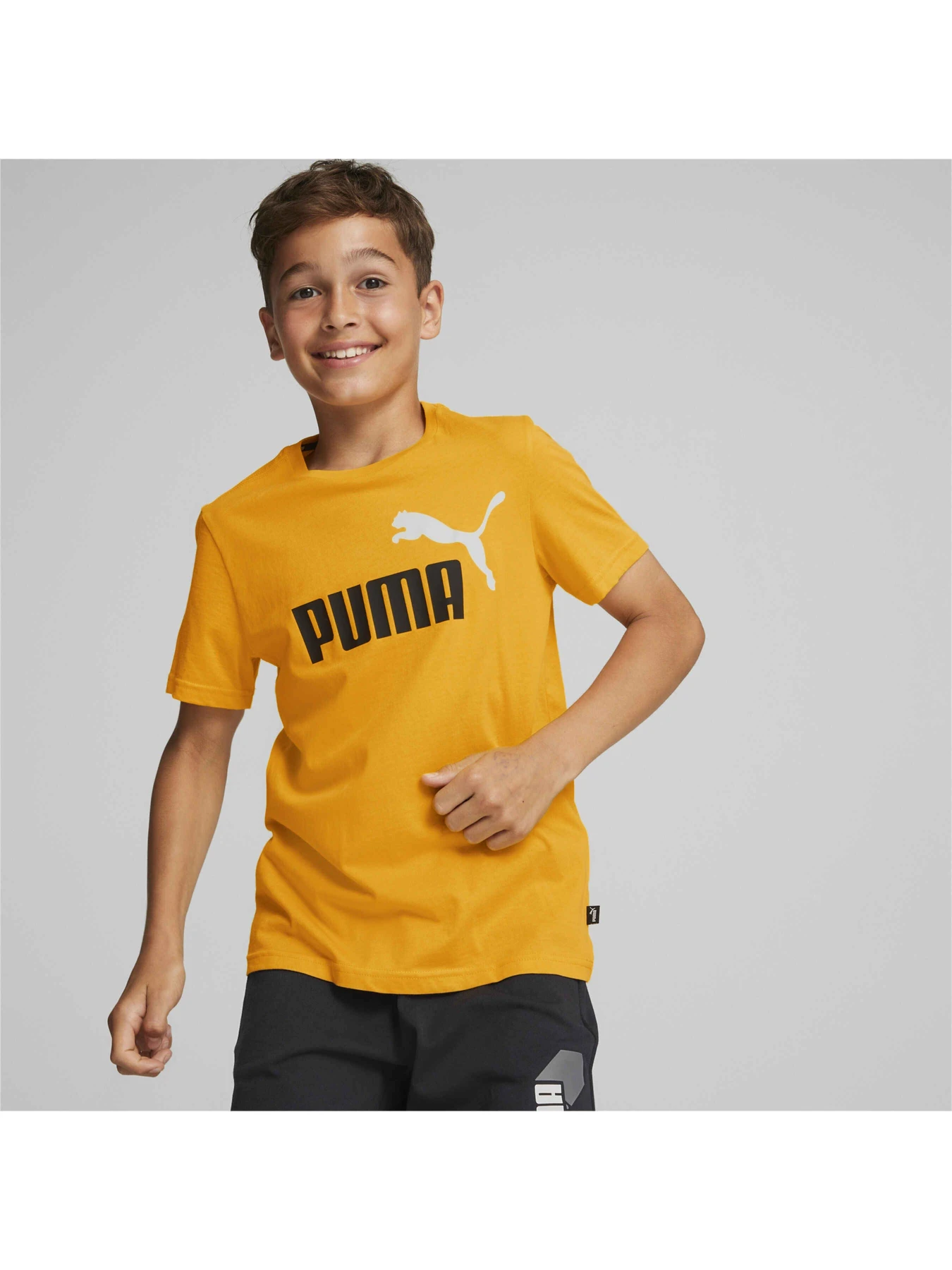Футболки и поло PUMA Ess+ 2 Col Logo Tee модель 586985 Фото