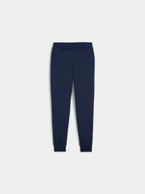 Брюки PUMA Power Sweatpants модель 678936 Фото