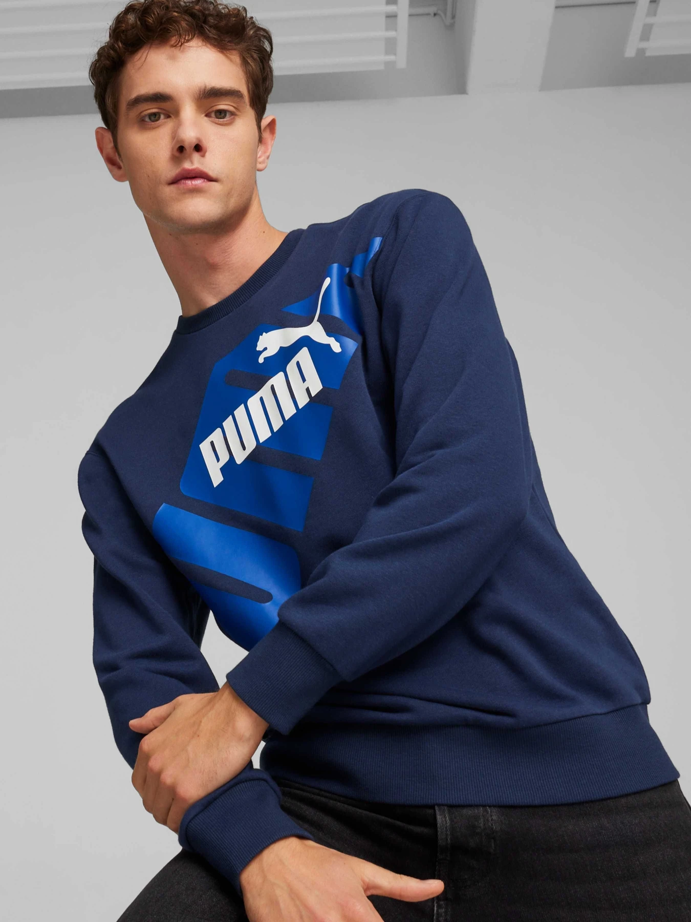 Худі та світшоти PUMA Power Graphic Crew модель 678961 Фото