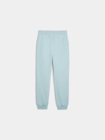 Штани PUMA Power Pants Tr модель 677895 Фото