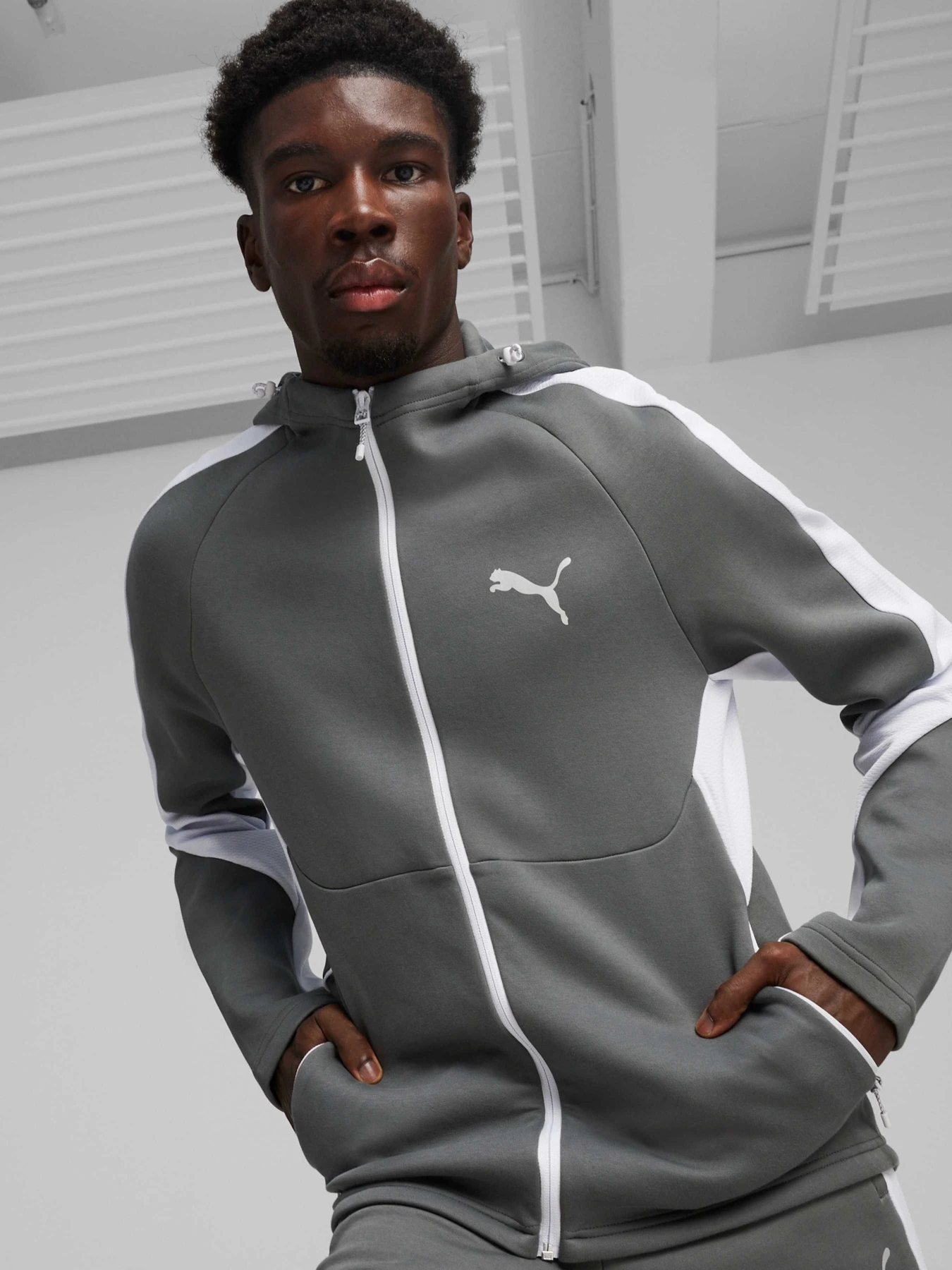 Худі та світшоти PUMA Evostripe Full-zip Hoodie модель 678995 Худі та світшоти PUMA Evostripe Full-zip Hoodie модель 678995 Фото