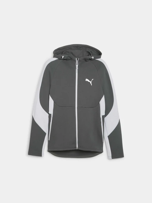 Худи и свитшоты PUMA Evostripe Full-zip Hoodie модель 678995 Фото