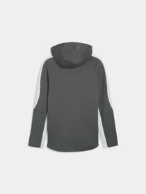 Худі та світшоти PUMA Evostripe Full-zip Hoodie модель 678995 Фото