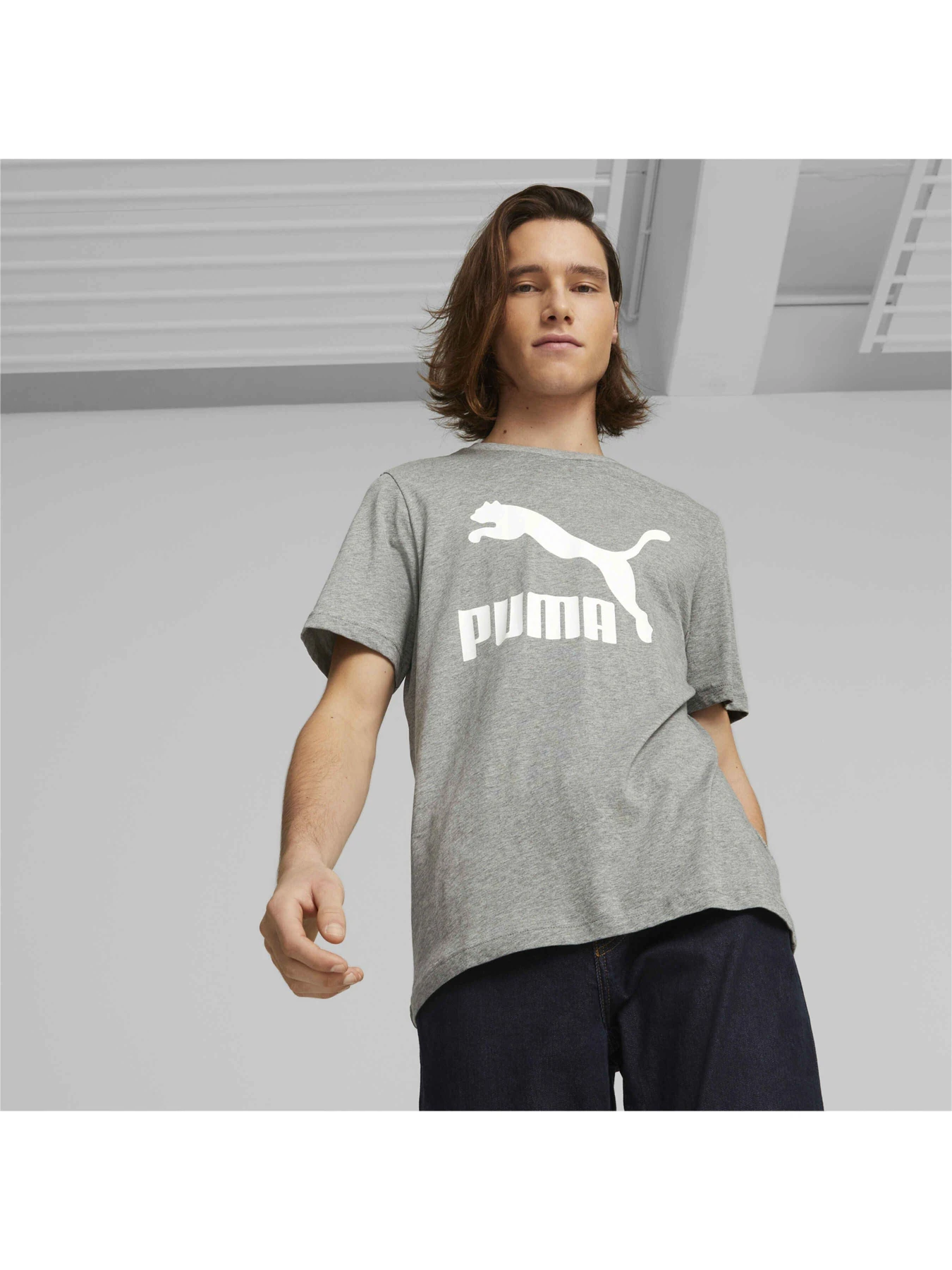 Футболки і поло PUMA Classics Logo Tee модель 530088 Футболки і поло PUMA Classics Logo Tee модель 530088 Фото