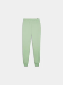Брюки PUMA Ess+ 2 Col Logo Pants модель 586768 Фото