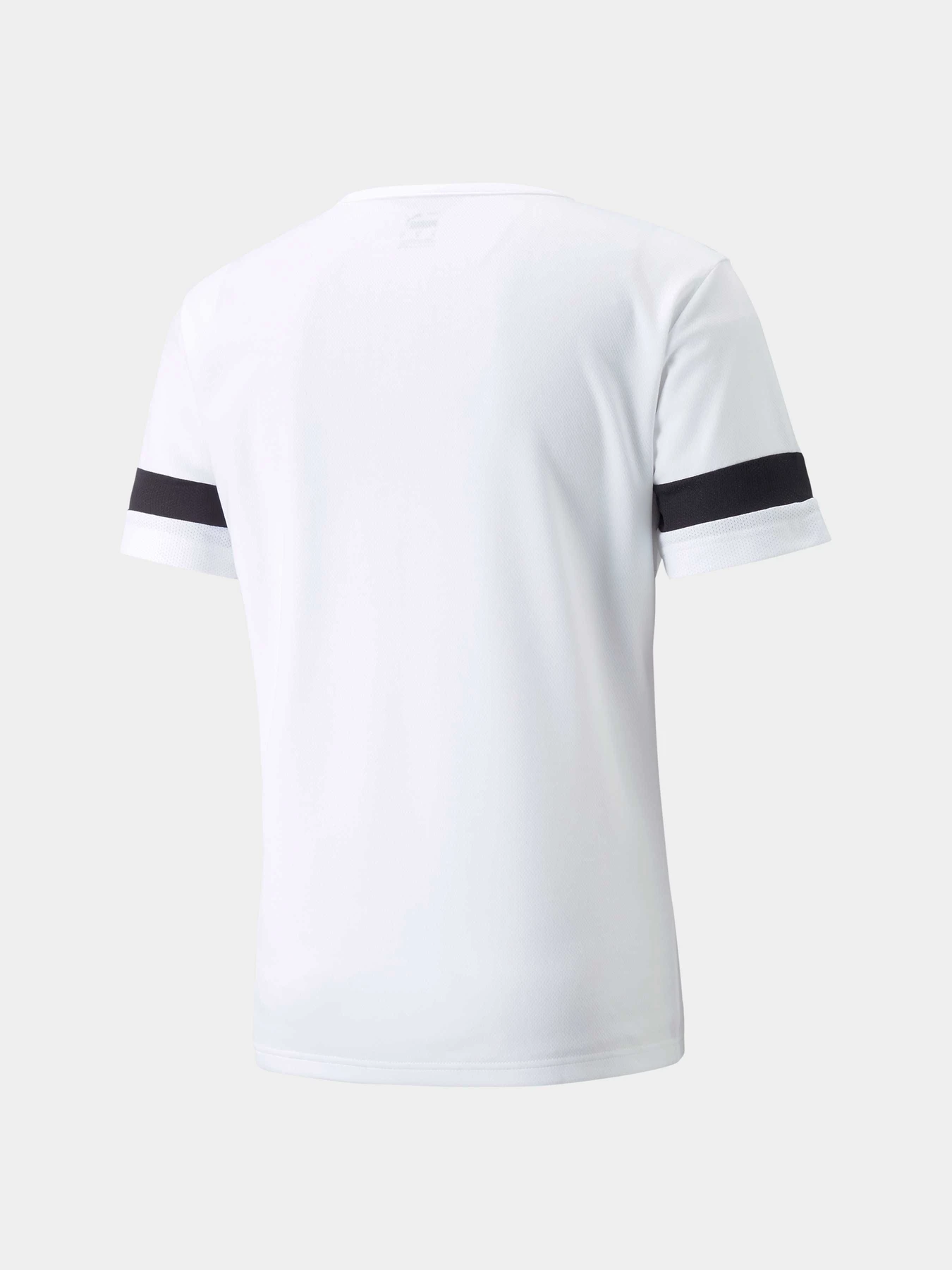 Футболки і поло PUMA Teamrise Jersey модель 704932 Фото
