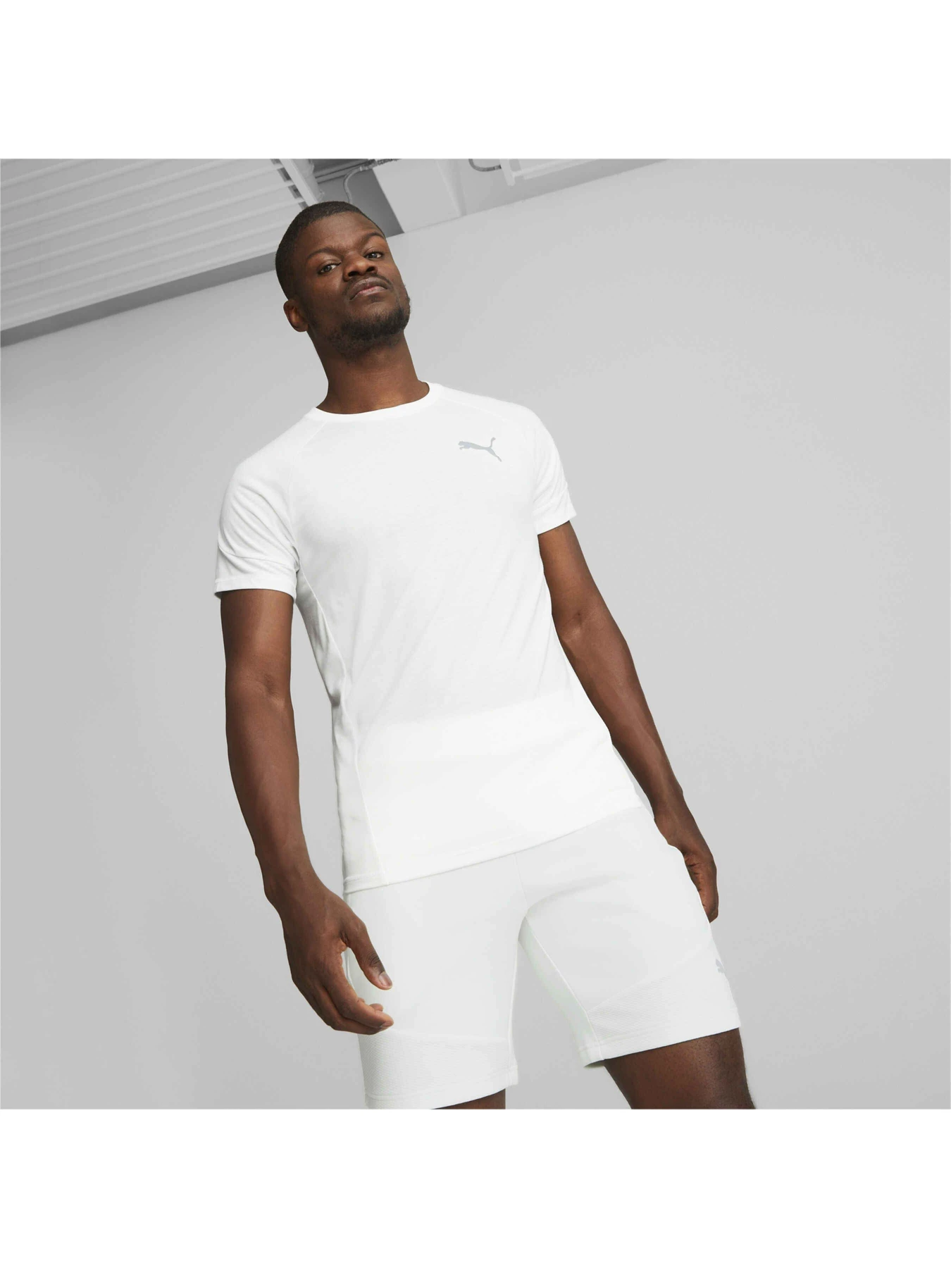 Футболки і поло PUMA Evostripe Tee модель 673311 Футболки і поло PUMA Evostripe Tee модель 673311 Фото