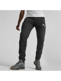 Брюки PUMA Evostripe Pants модель 673315 Фото