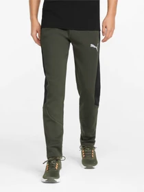 Брюки PUMA Evostripe Pants модель 847404 Фото