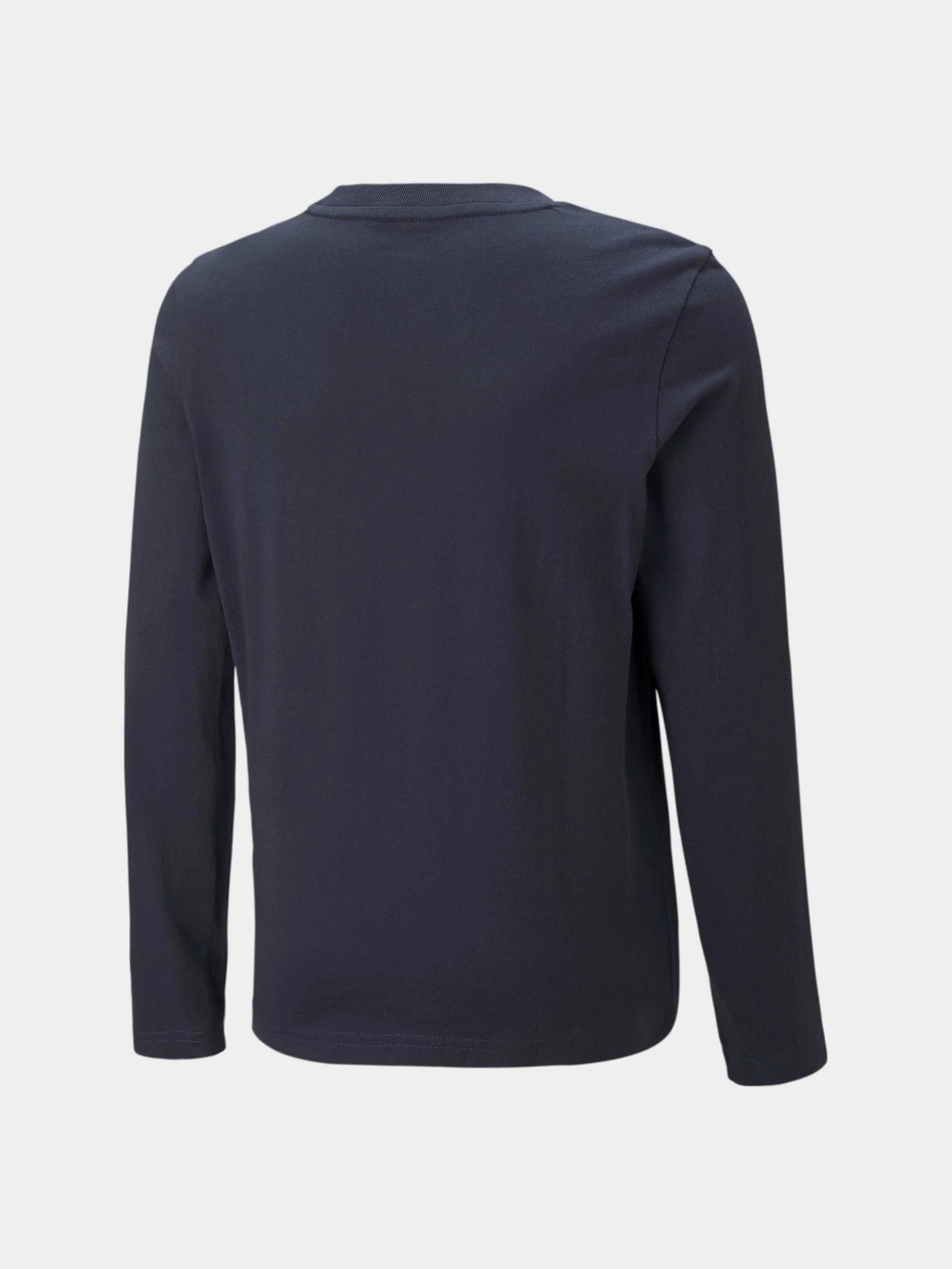 Худі та світшоти PUMA Active Sports Longsleeve модель 670073 Худі та світшоти PUMA Active Sports Longsleeve модель 670073 Фото