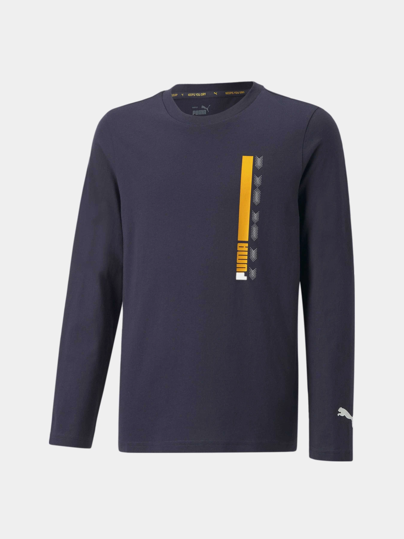 Худі та світшоти PUMA Active Sports Longsleeve модель 670073 Худі та світшоти PUMA Active Sports Longsleeve модель 670073 Фото