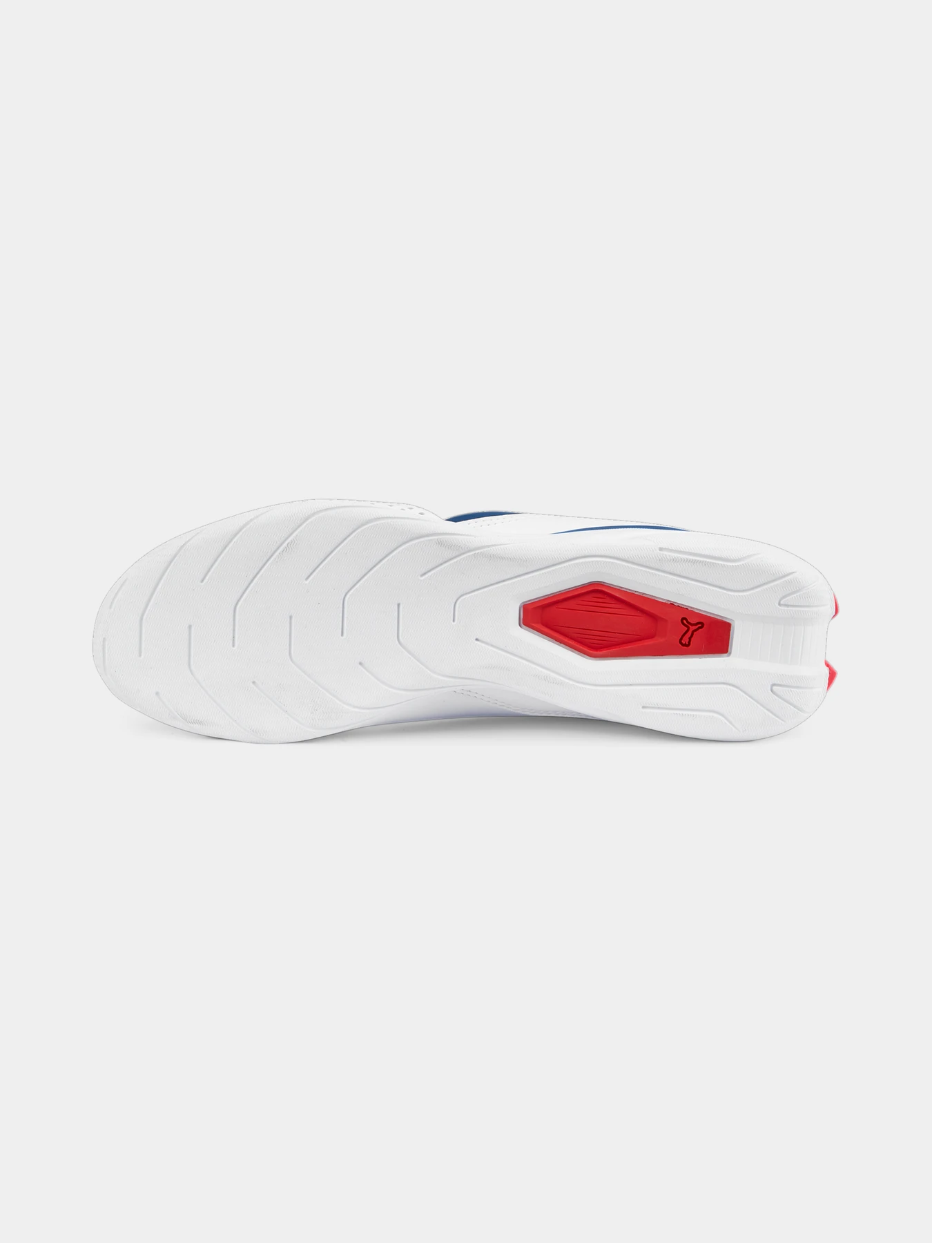 Кросівки PUMA Bmw Mms Drift Cat Decima модель 307304 Кросівки PUMA Bmw Mms Drift Cat Decima модель 307304 Фото