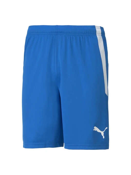 Шорти PUMA Teamliga Shorts модель 704924 Фото