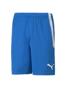Шорти PUMA Teamliga Shorts модель 704924 Фото