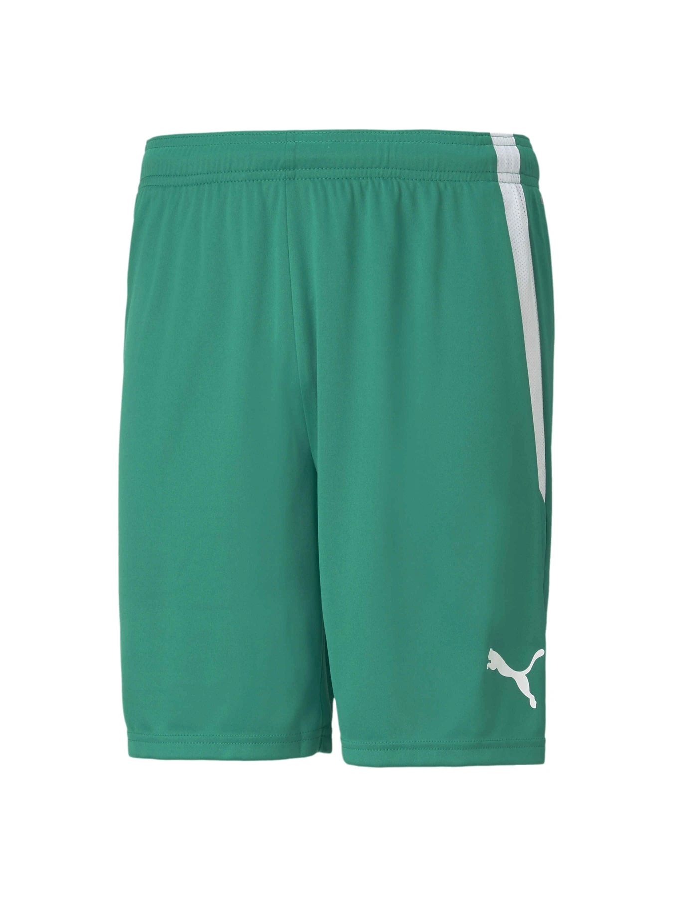 Шорты PUMA Teamliga Shorts модель 704924 Шорты PUMA Teamliga Shorts модель 704924 Фото