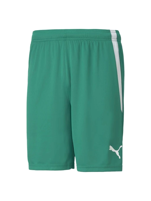 Шорты PUMA Teamliga Shorts модель 704924 Фото