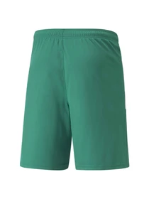 Шорты PUMA Teamliga Shorts модель 704924 Фото