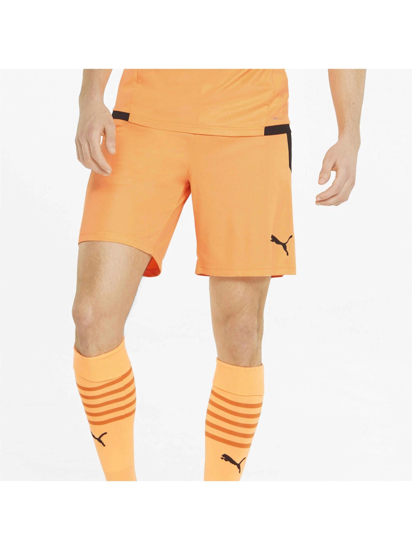 Шорти PUMA Teamliga Shorts модель 704924 Фото