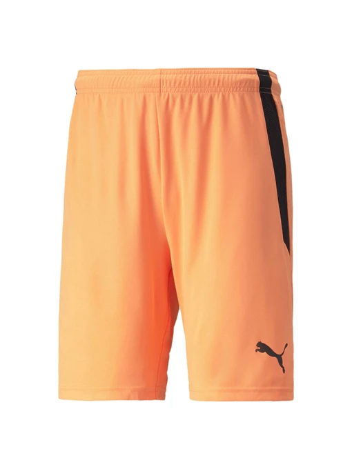 Шорти PUMA Teamliga Shorts модель 704924 Фото