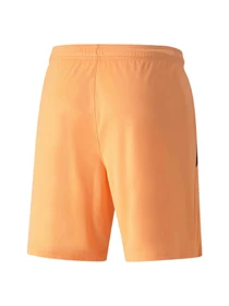 Шорти PUMA Teamliga Shorts модель 704924 Фото