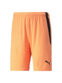 Шорти PUMA Teamliga Shorts модель 704924 Фото