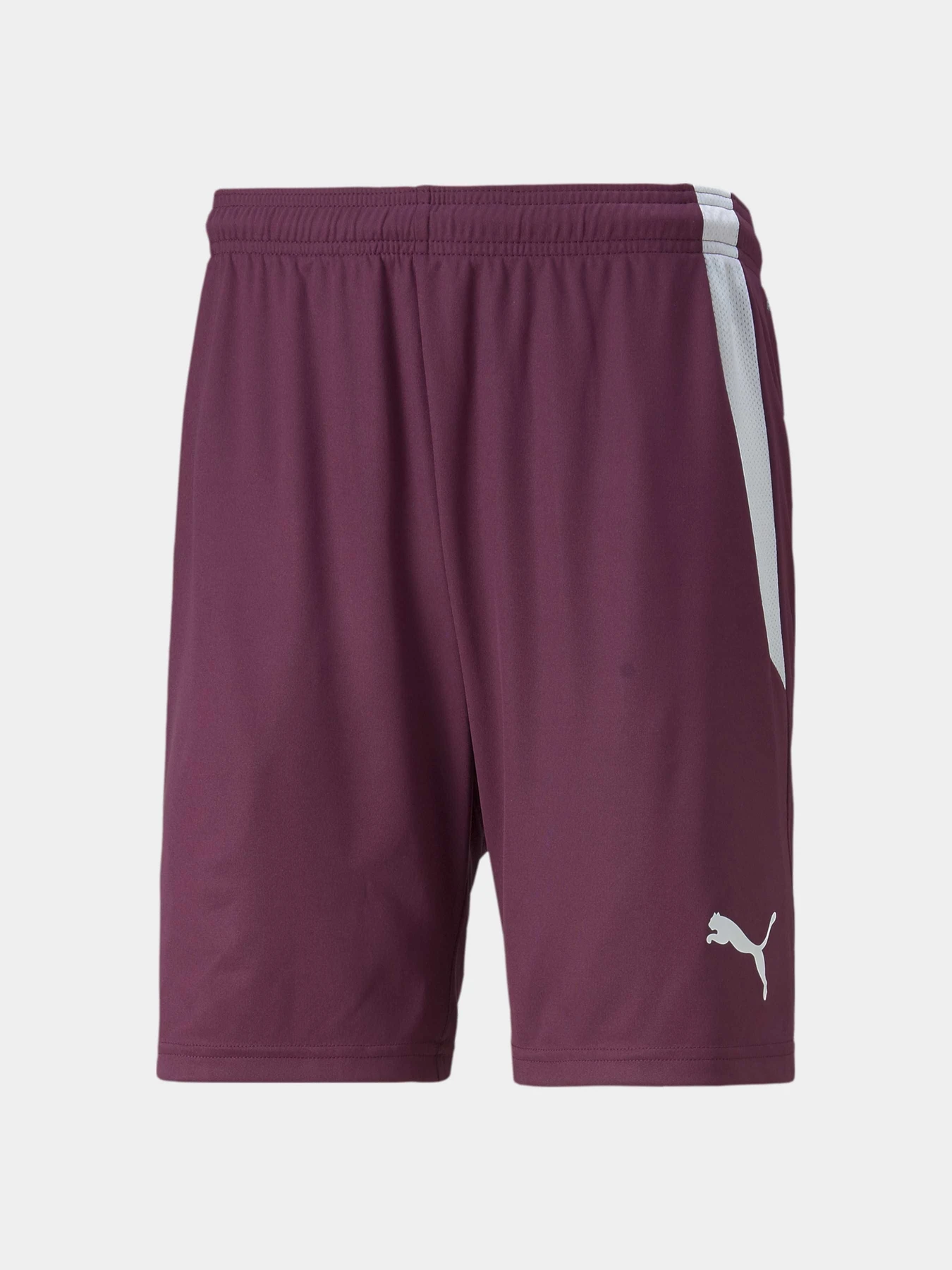 Шорти PUMA Teamliga Shorts модель 704924 Шорти PUMA Teamliga Shorts модель 704924 Фото