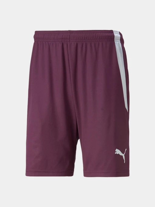 Шорти PUMA Teamliga Shorts модель 704924 Фото