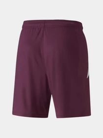 Шорти PUMA Teamliga Shorts модель 704924 Фото