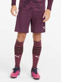 Шорти PUMA Teamliga Shorts модель 704924 Фото