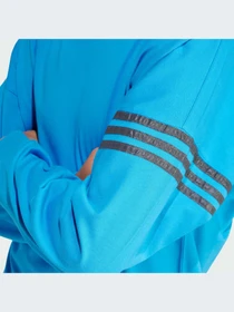 Худи и свитшоты Adidas модель IS2814 Фото